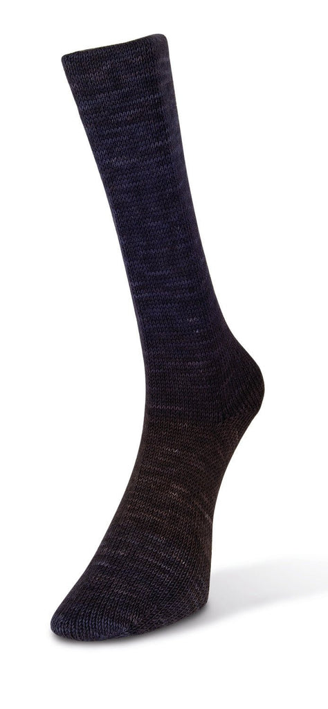 Laines du Nord Watercolor Sock - Harmony