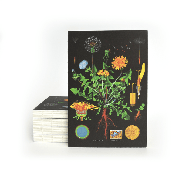 Vintage Botanical Dandelion Exposed Coptic Binding Notebook - Harmony