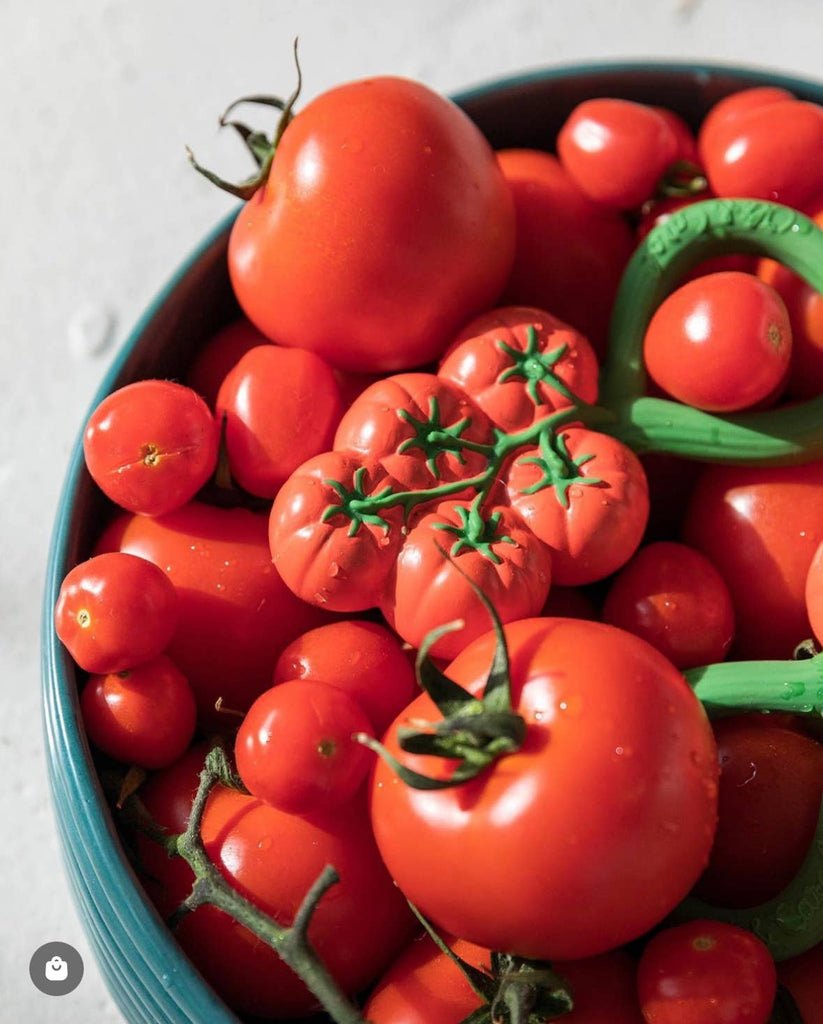 Tomato Rattle Toy - Harmony