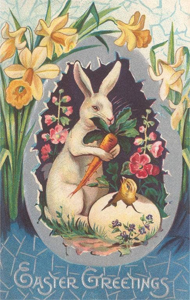 Easter + Spring Postcards / Rabbit with Daffodils - Harmony