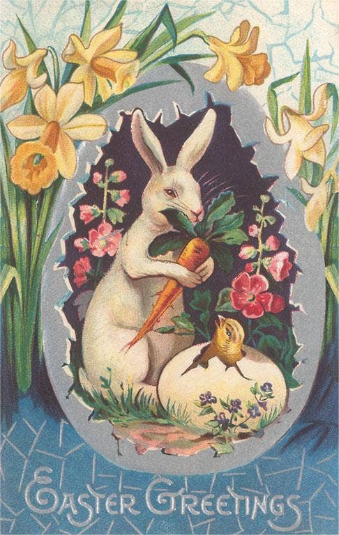 Easter + Spring Postcards / Rabbit with Daffodils - Harmony