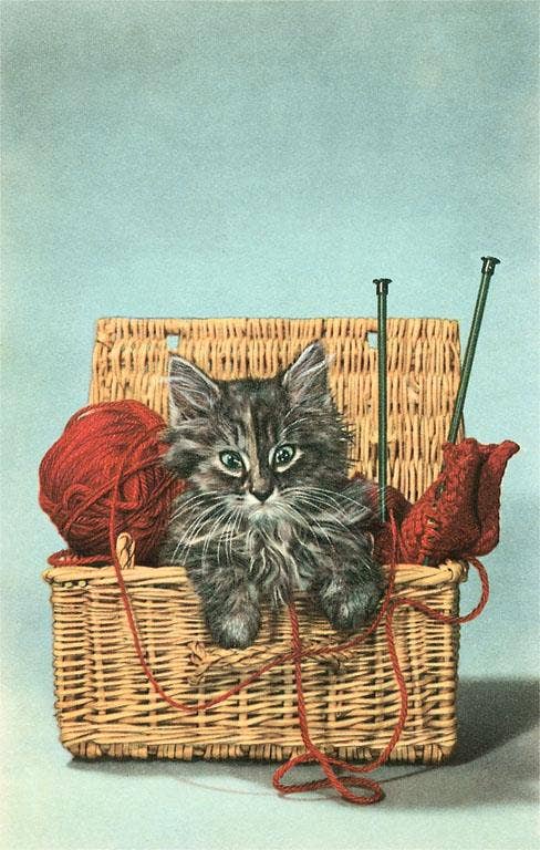 Vintage Postcard / Kitten in Knitting Basket - Harmony