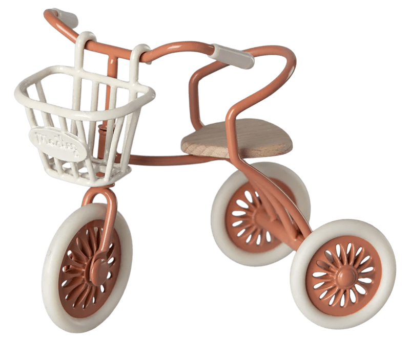 Tricycle Basket - Harmony
