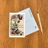 Vintage Postcard / Birthday Greetings Flowers - Harmony