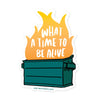 Dumpster Fire Vinyl Sticker - Harmony