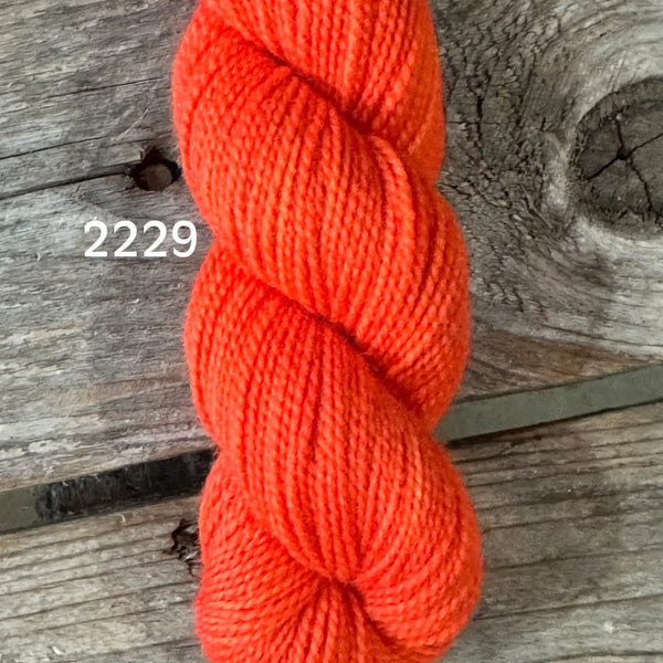 Koigu KPM Semisolids - Harmony