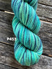 Koigu KPPPM 50g - Harmony