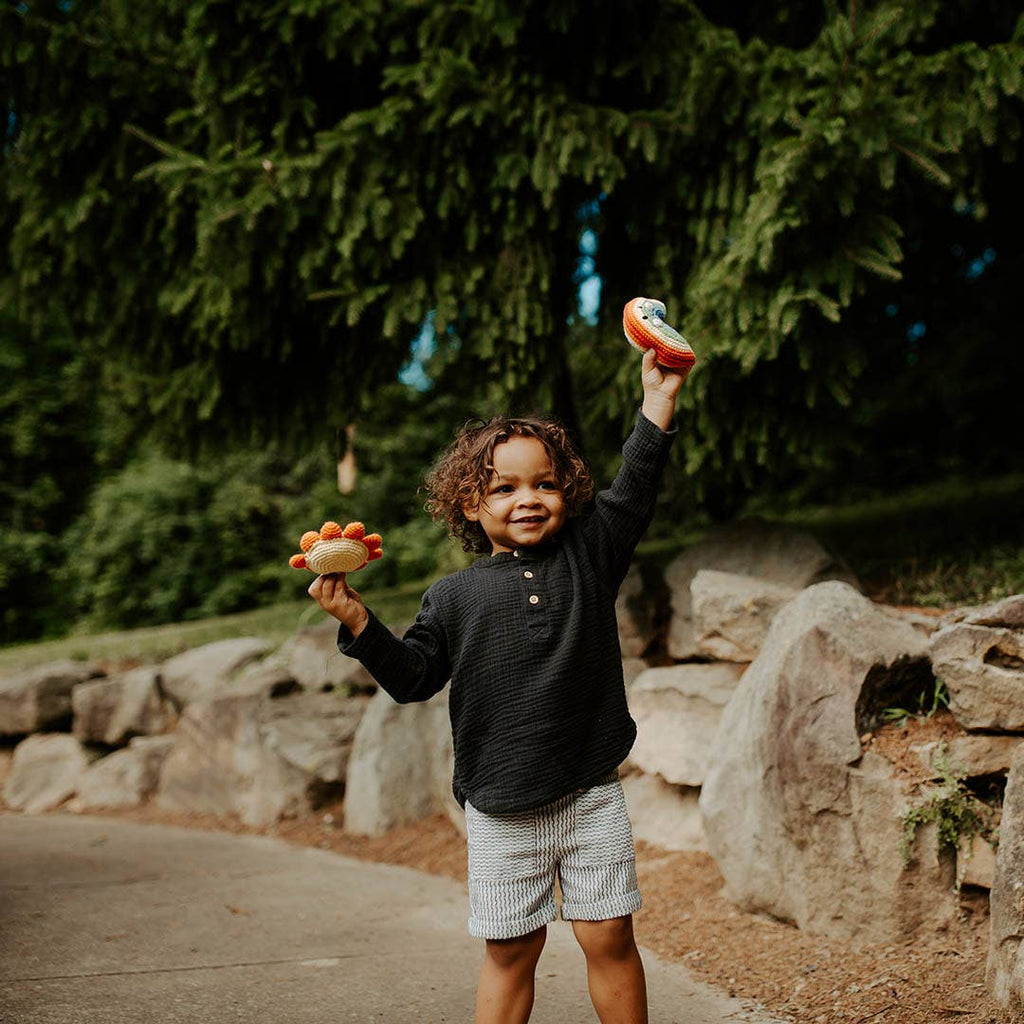 Friendly Weather Toy - Rainbow Rattle - Harmony