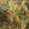 6' Felt Rainbow Pompom Ball Garland - Harmony