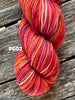 Koigu KPPPM 50g - Harmony