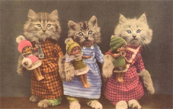 Vintage Postcard - Harmony