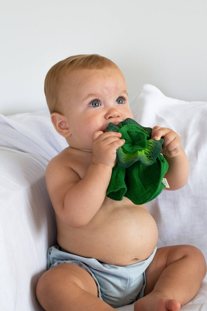 Kendall the Kale Mini DouDou Teether - Harmony