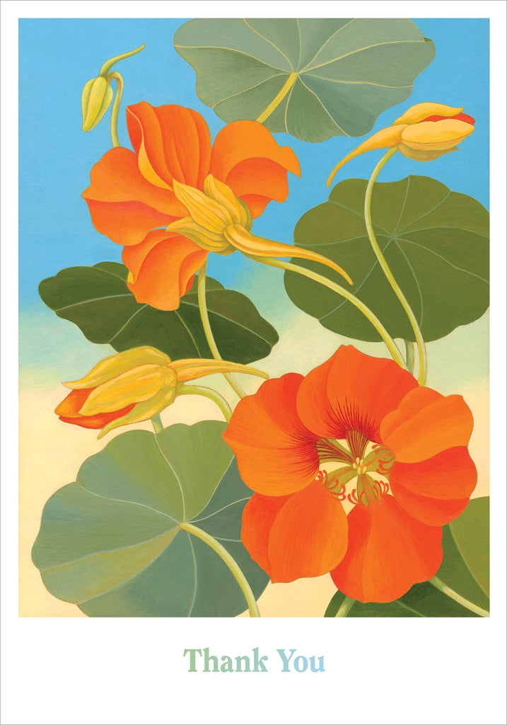 Siri Schillios: Nasturtium Boxed Thank You Notes - Harmony