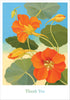 Siri Schillios: Nasturtium Boxed Thank You Notes - Harmony