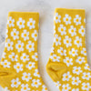 Daisy Socks - Harmony