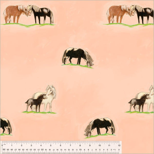 Heather Ross By Hand / Ponies / Peach - Harmony