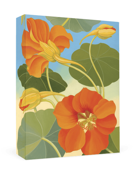 Siri Schillios: Nasturtium Boxed Thank You Notes - Harmony