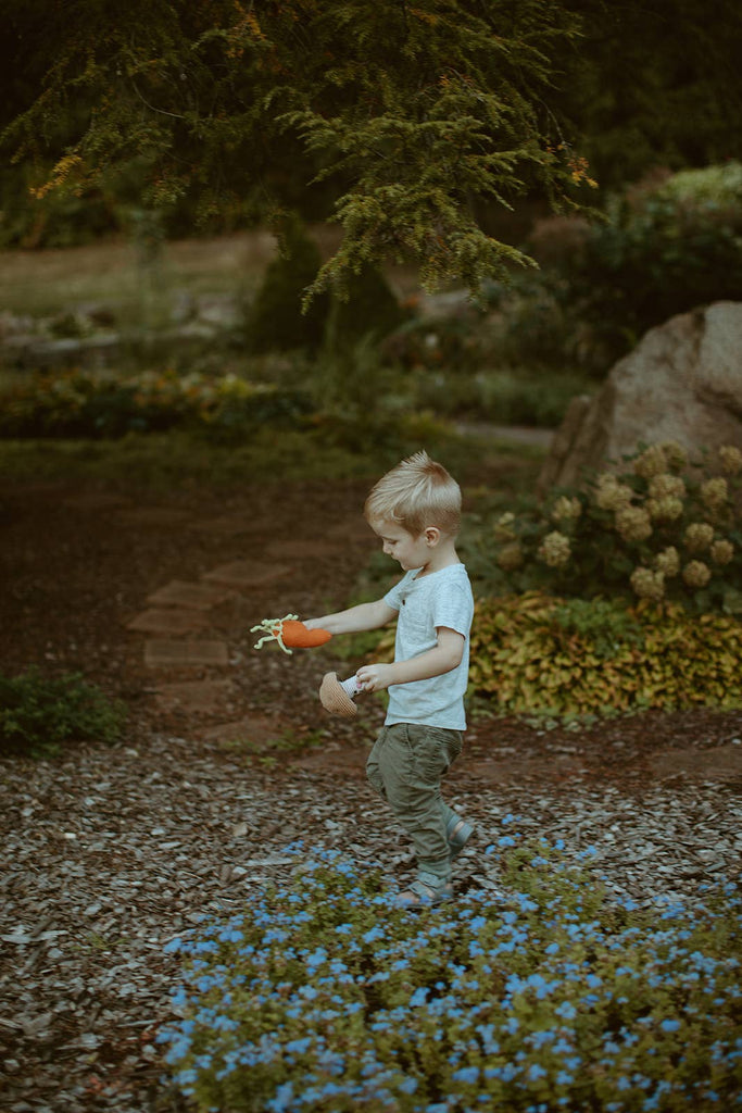 Pretend Play Food Rattle - Carrot - Harmony