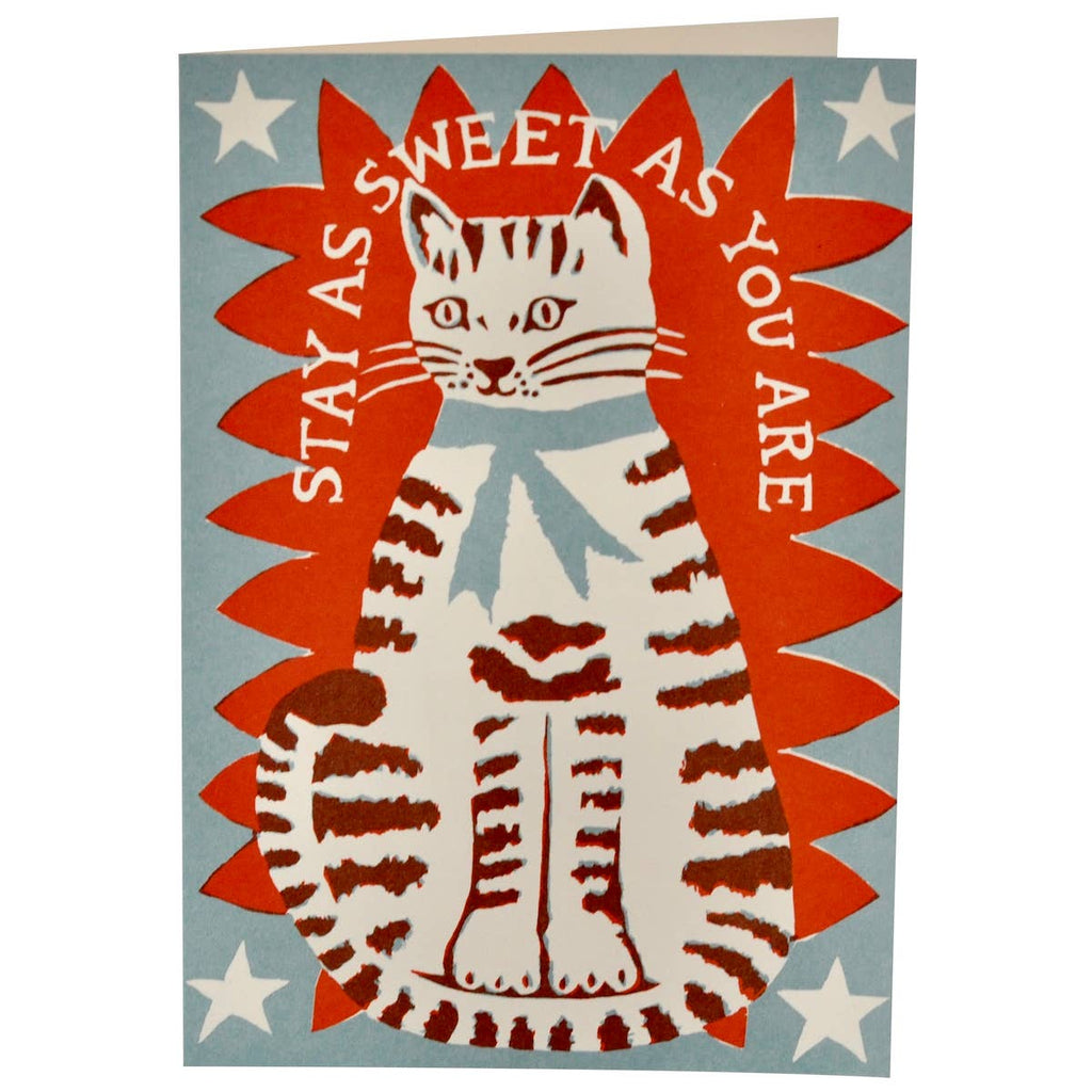 Sweet Cat Very Large Card - Harmony