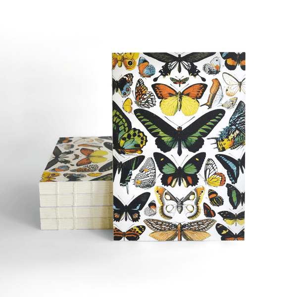 Vintage Butterfly Exposed Coptic Binding Notebook - Harmony