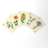 Wildflowers Single Playing Card Deck - Harmony