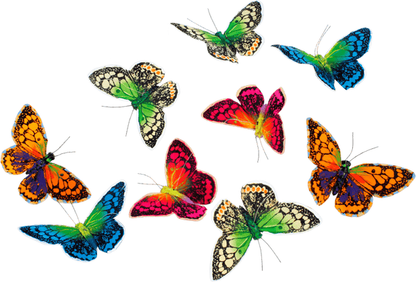 Butterfly Garland Colorful Royals - Harmony