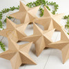 Paper Mache Star Ornament - Large - Harmony