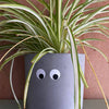 Googly Eye Waterproof Stickers - Harmony