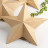 Paper Mache Star Ornament - Large - Harmony