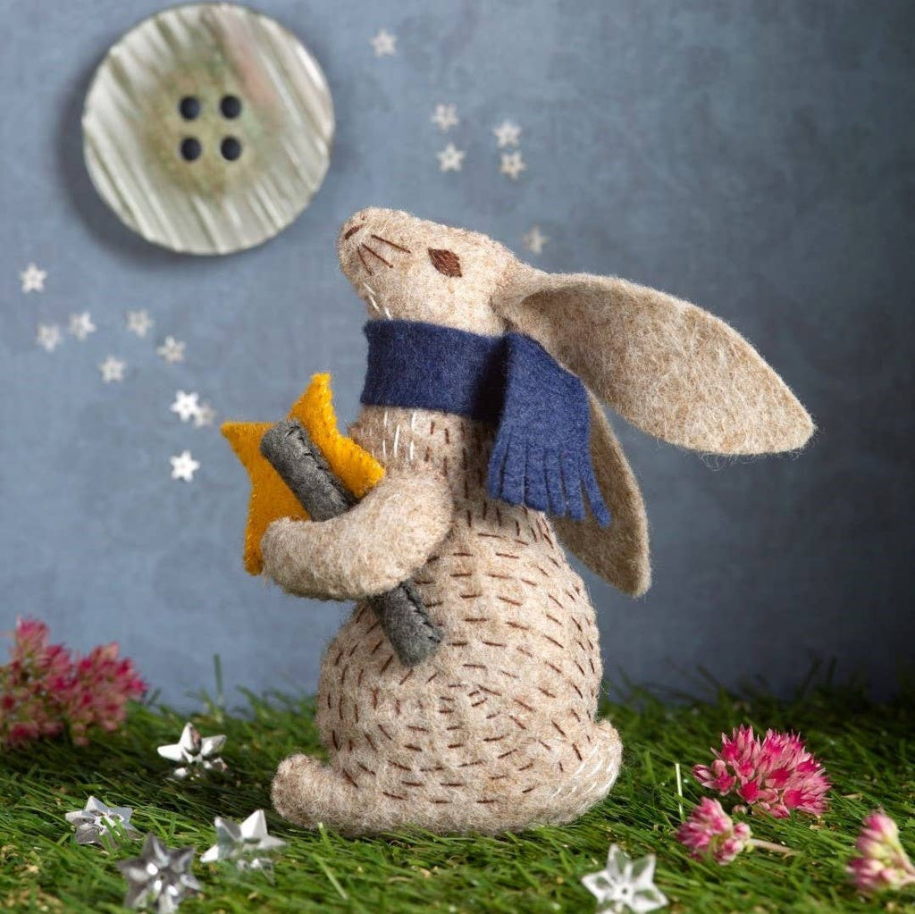 Prof Hare Stargazer Felt Craft Mini Kit - Harmony
