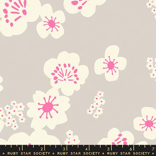 Paper Cuts 2 / Hana / Sandbox / Canvas - Harmony