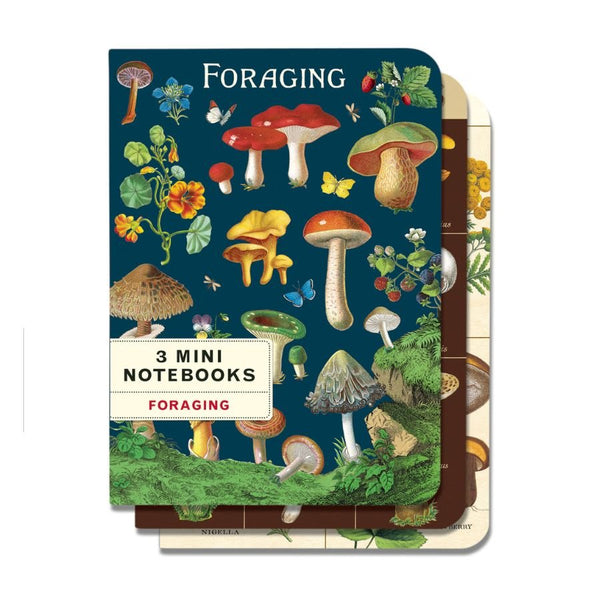 Mini Notebook Set - Harmony