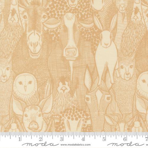 The Henhouse / Barnyard Faces / Hay - Harmony