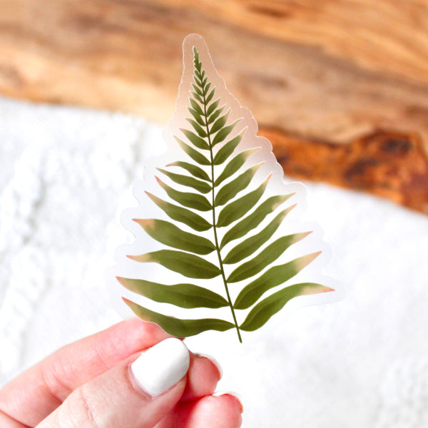 Boston Fern Leaf Sticker 3.25x2.5in - Harmony