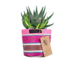 Eco Woven Plant Pot Cover - Small - Harmony