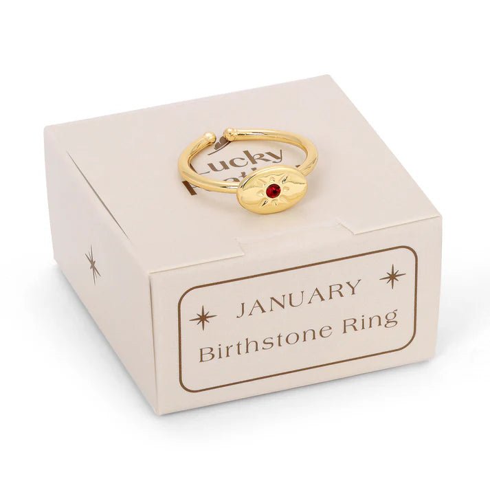 Birthstone Signet Ring - January - Harmony