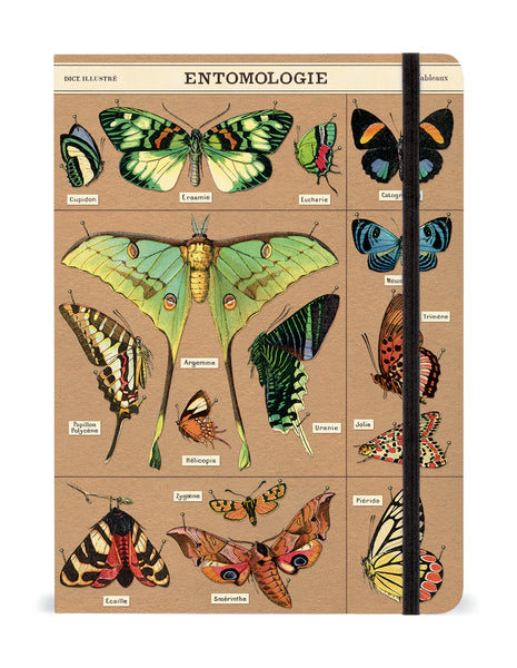 Large Notebook - Harmony