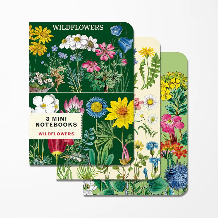 Mini Notebook Set - Harmony
