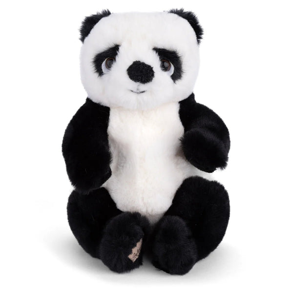Baby Jie Jie - Harmony