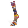 Laines du Nord Eclectic Sock - Harmony