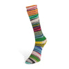 Laines du Nord Eclectic Sock - Harmony