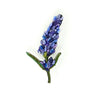 Trovelore Brooch Pins - Harmony