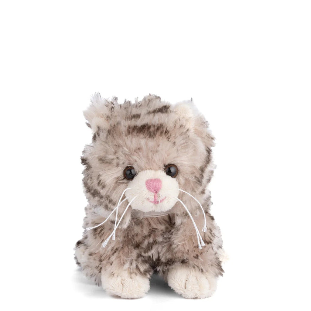 Little Maciek - Harmony