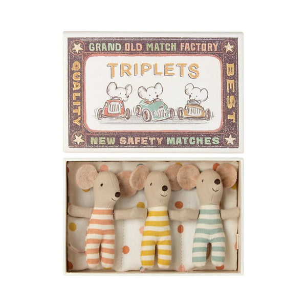 Triplets, Baby Mice in Matchbox - Harmony