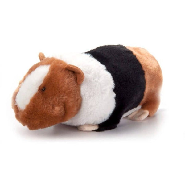 Wild Onez Guinea Pig - Harmony