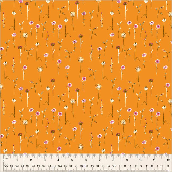 Studio Edit / Wildflowers / Orange - Harmony