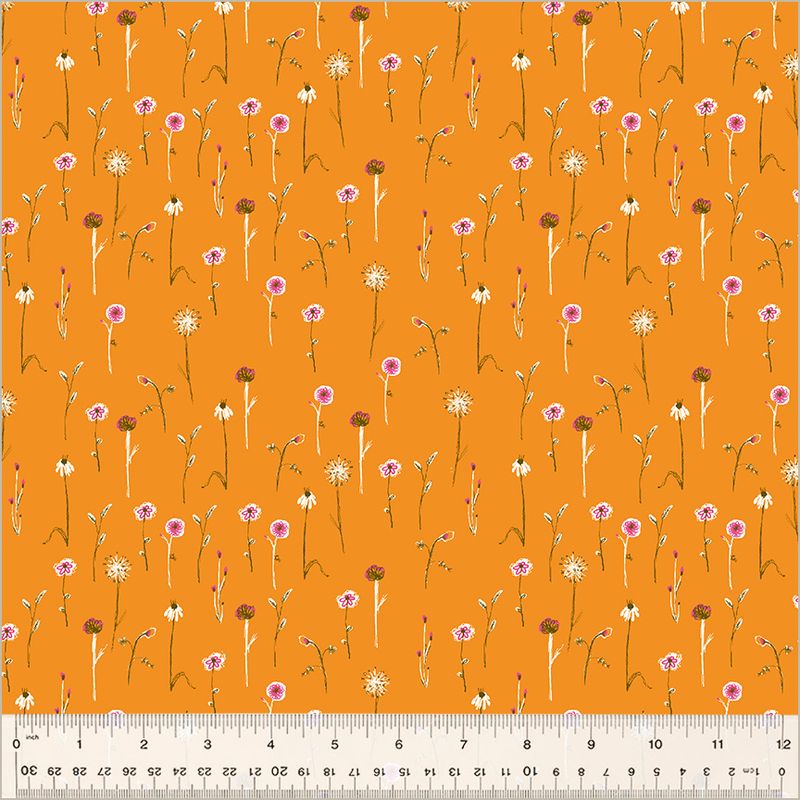 Studio Edit / Wildflowers / Orange - Harmony