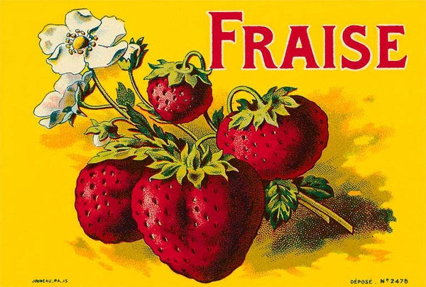 Vintage Postcard - Harmony