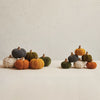 Small Cotton Blend Bouclé/Velvet Pumpkin w/ Wood Stem, 6 Styles - Harmony