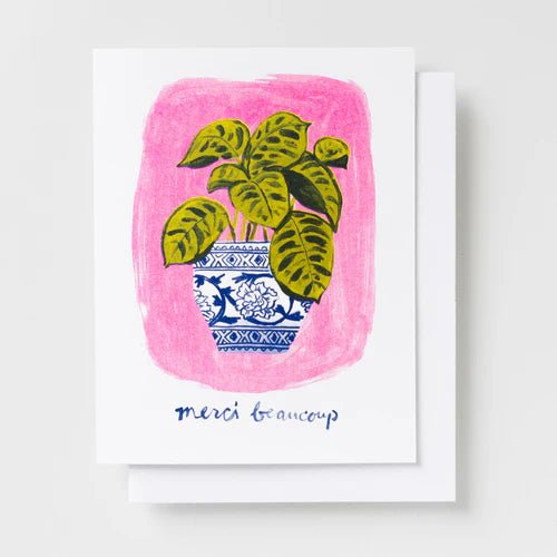 Merci Beaucoup Plant - Harmony